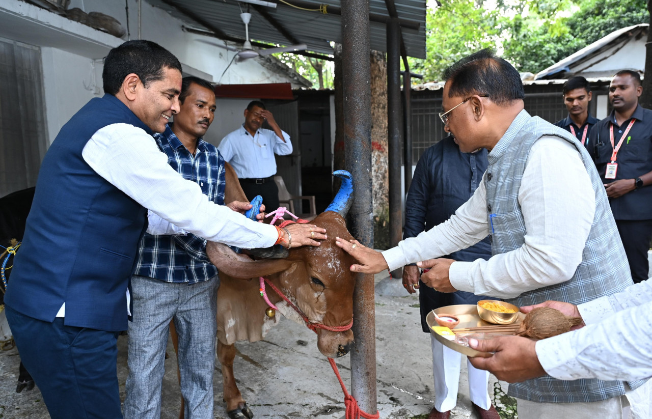 मुख्यमंत्री विष्णु देव साय ने चंद्र ग्रहण से पहले निभाई परंपरा, गौ माता को खिलाया गुड़-रोटी….