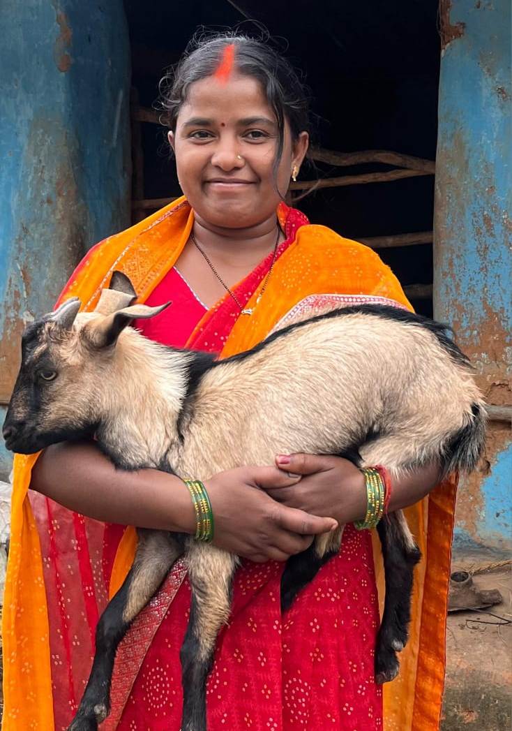 आत्मनिर्भरता की मिसाल : बकरी पालन से सविता रजक बनीं ग्रामीण महिलाओं की प्रेरणा….