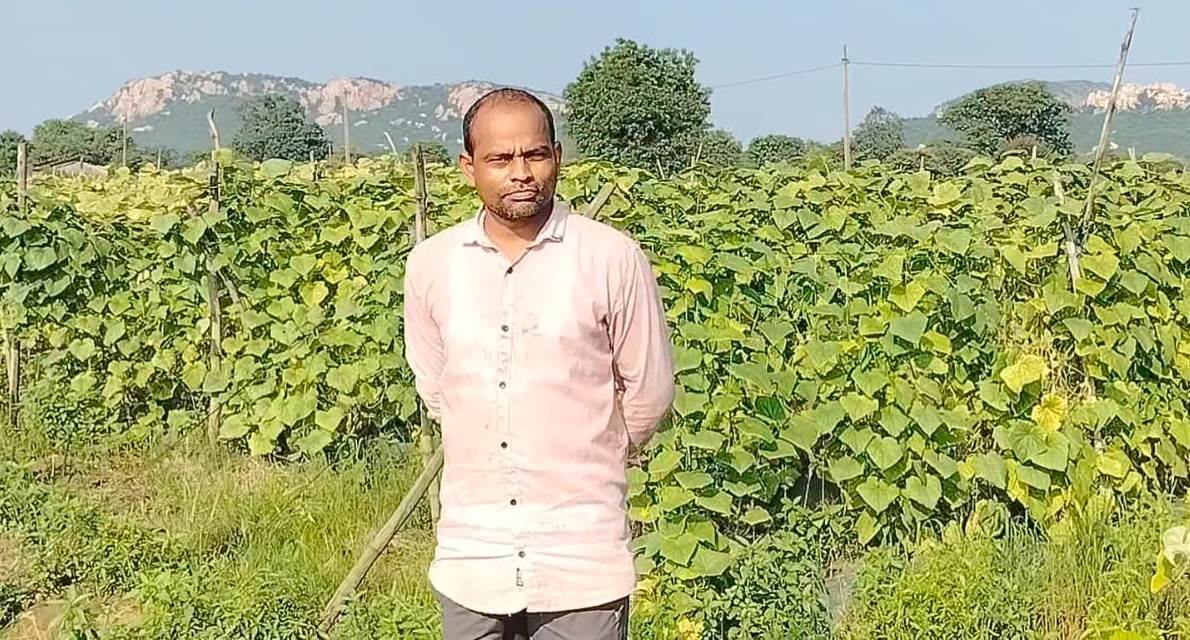 बरबट्टी और खीरा की खेती से आत्मनिर्भर बने बाह्मनपाली के किसान राज कुमार साहू….