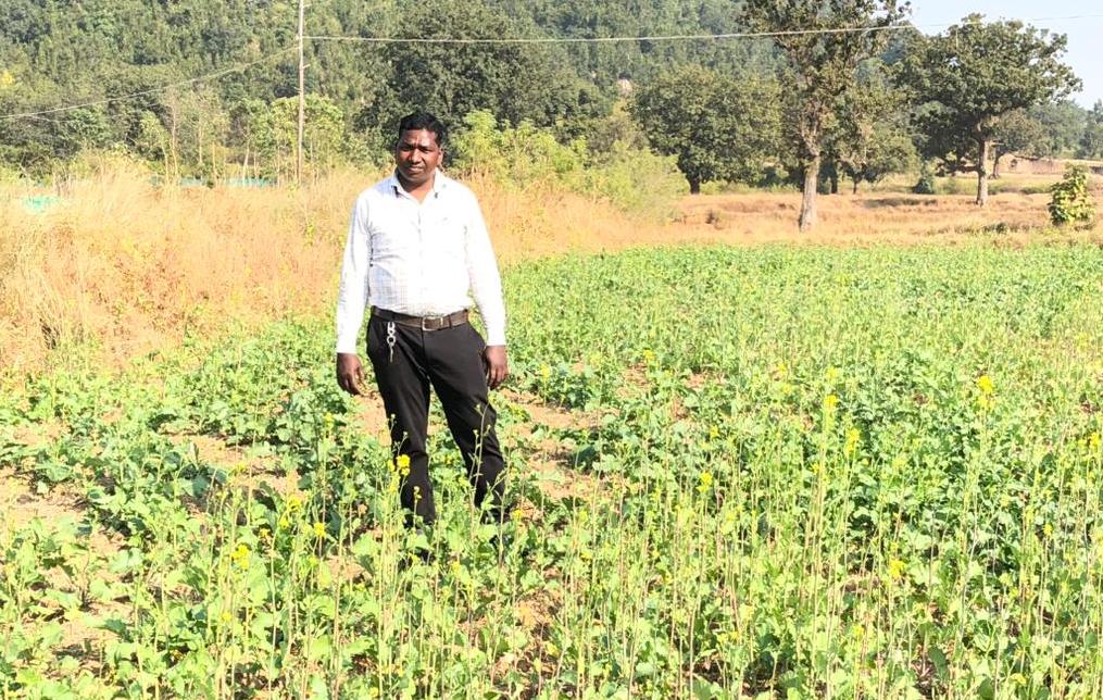 प्रधानमंत्री धन-धान्य कृषि योजना ने बदली किसानों की किस्मत….